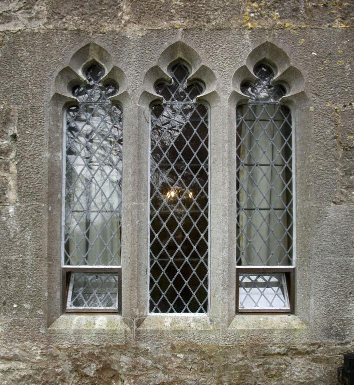 Anne'S Grove Miniature Castle Villa Castletownroche Rum bild
